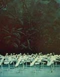 Ballet